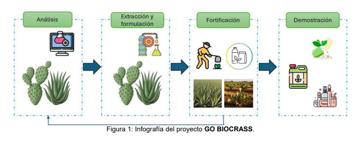 Figura 1: Infografía del proyecto GO BIOCRASS
